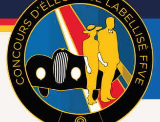 Flash info ! Concours d&rsquo;élégance FFVE à venir en juillet