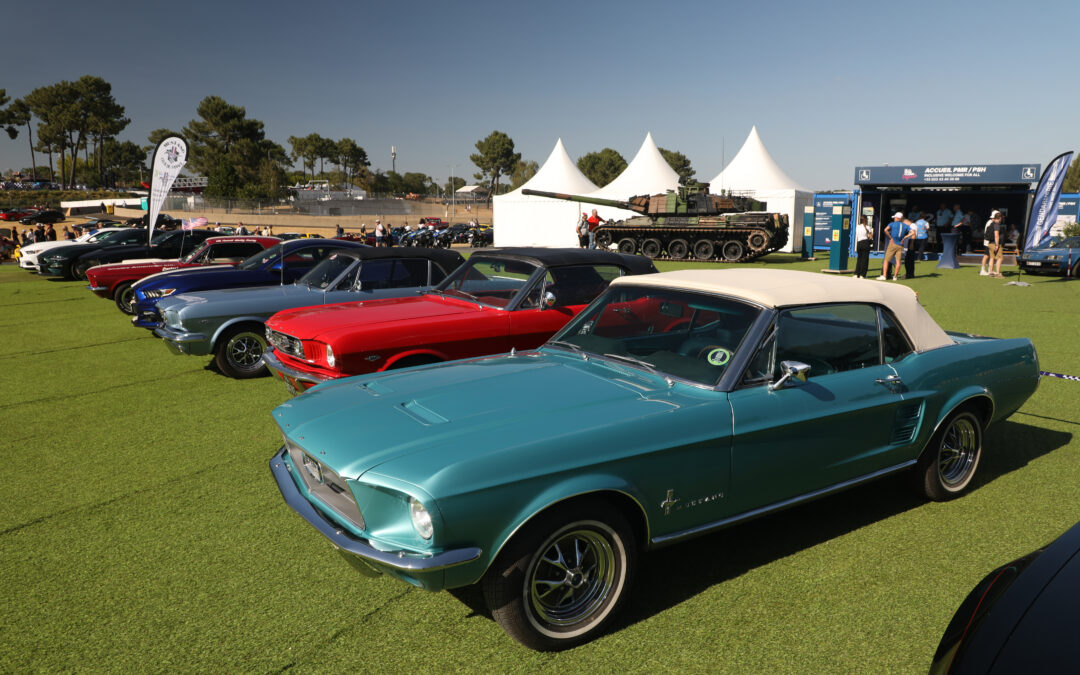 Mustang Club de France : la passion au galop