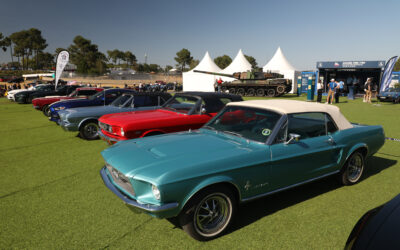 Mustang Club de France : la passion au galop